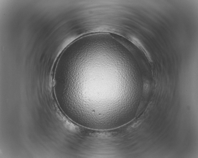 X0000077990900200611101725