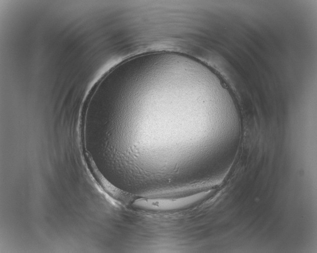 X0000077990902200611101725