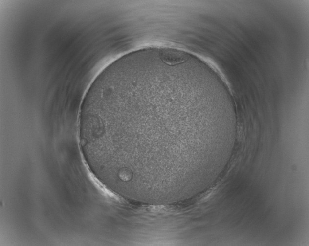 X0000077990903200611101725