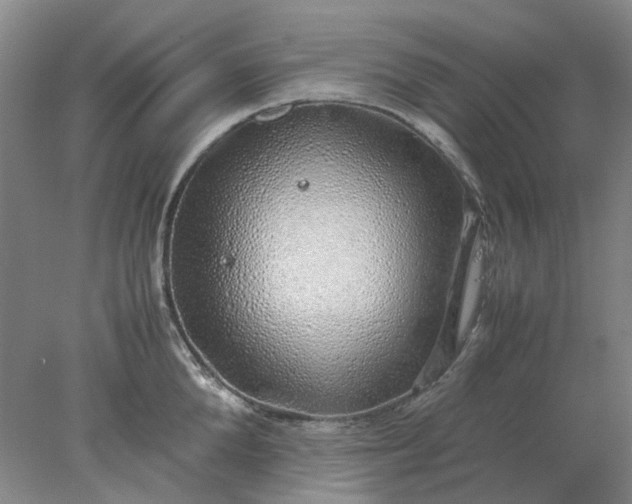 X0000077990904200611101725