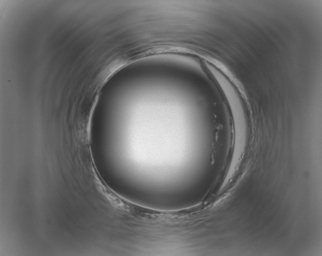 X0000077990905200611101725