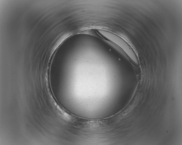 X0000077990906200611101725