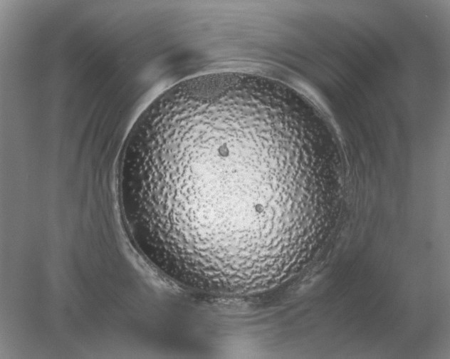 X0000077990907200611101725