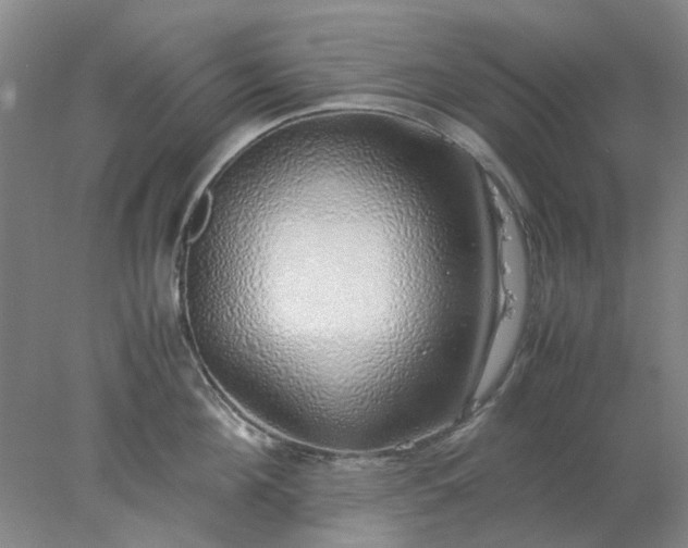 X0000077990908200611101725