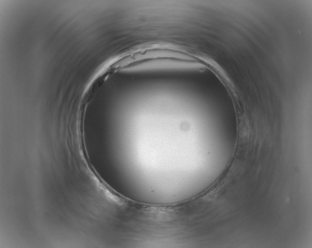 X0000077990910200611101725