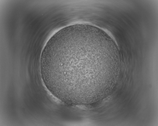 X0000077990911200611101725