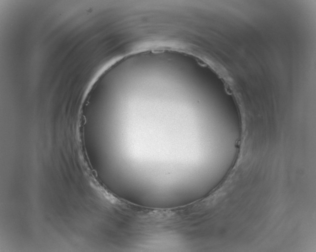 X0000077990912200611101725