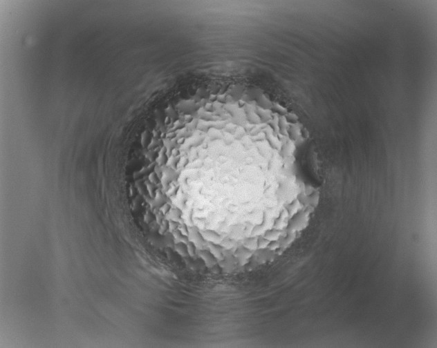 X0000077990913200611101724