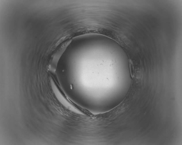 X0000077990916200611101724