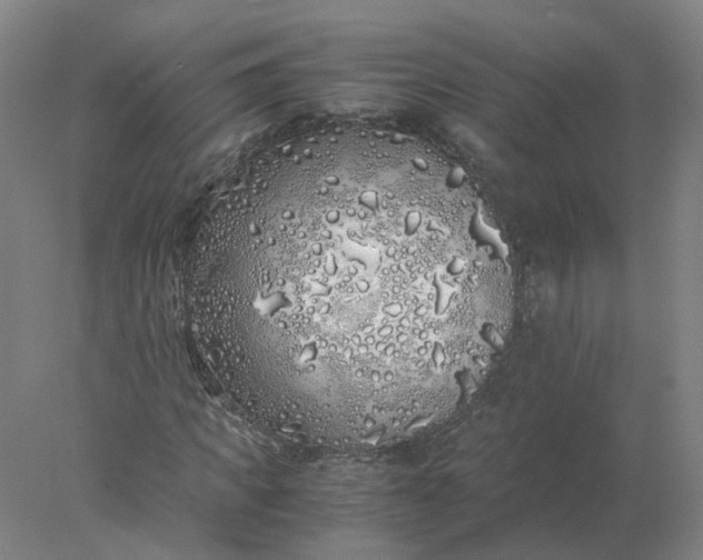 X0000077990917200611101724