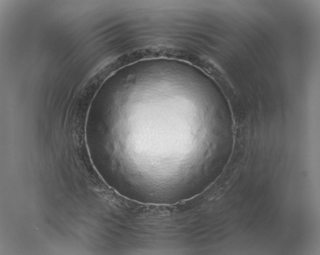 X0000077990919200611101724