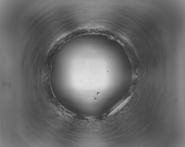 X0000077990920200611101724