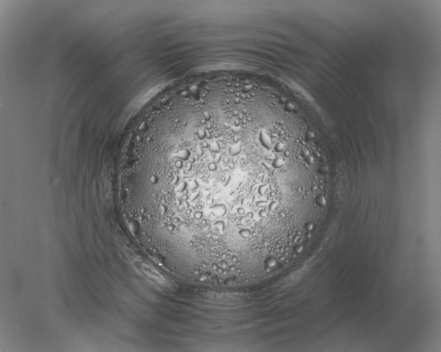 X0000077990921200611101724