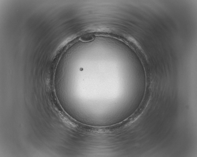 X0000077990922200611101724