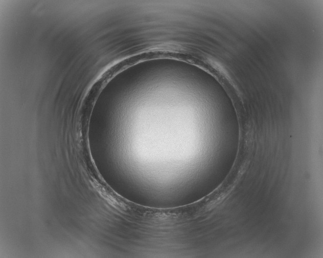 X0000077990923200611101724