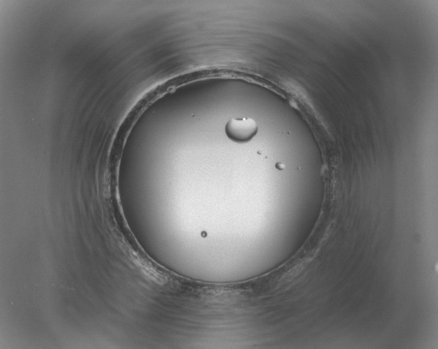 X0000077990924200611101724