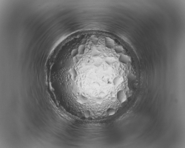 X0000077990925200611101724