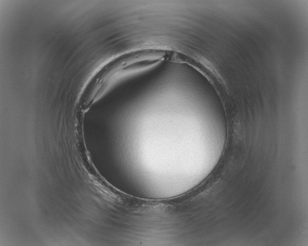 X0000077990926200611101724