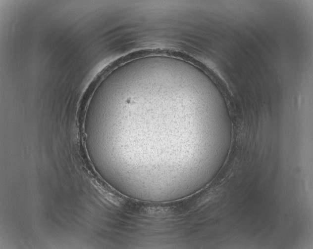 X0000077990927200611101724