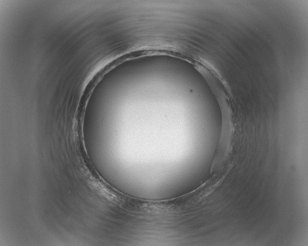 X0000077990928200611101724