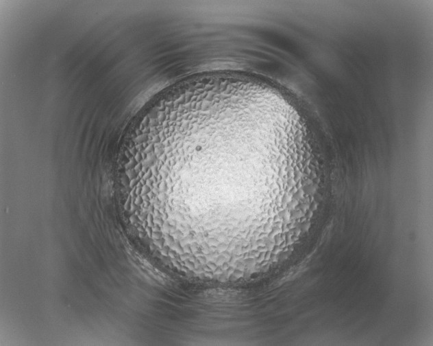 X0000077990929200611101724