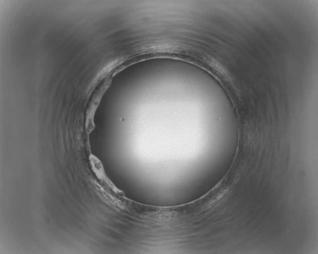 X0000077990930200611101724