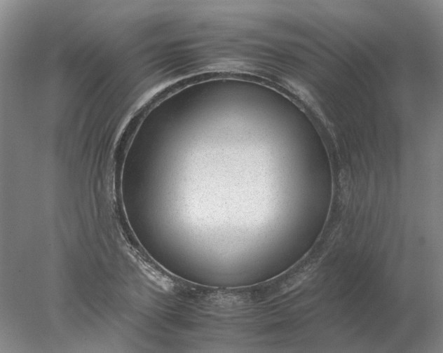 X0000077990931200611101724