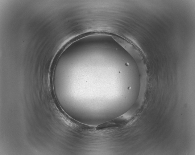 X0000077990932200611101724