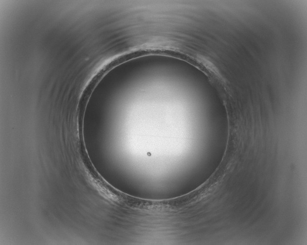 X0000077990934200611101724