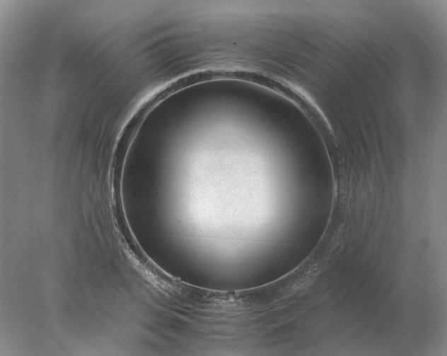 X0000077990935200611101724