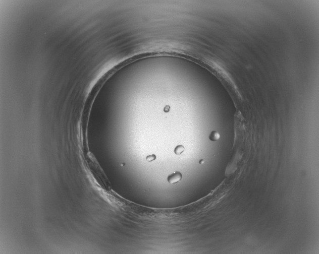 X0000077990936200611101724