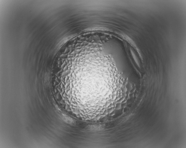 X0000077990937200611101724