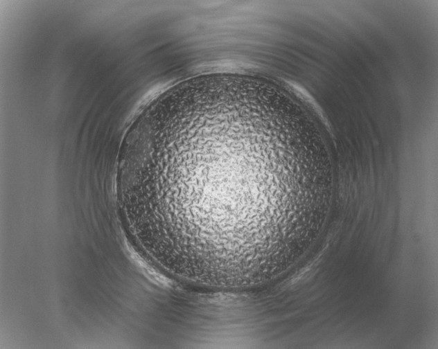 X0000077990938200611101724