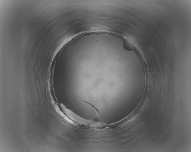 X0000077990941200611101724