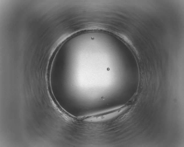 X0000077990943200611101724