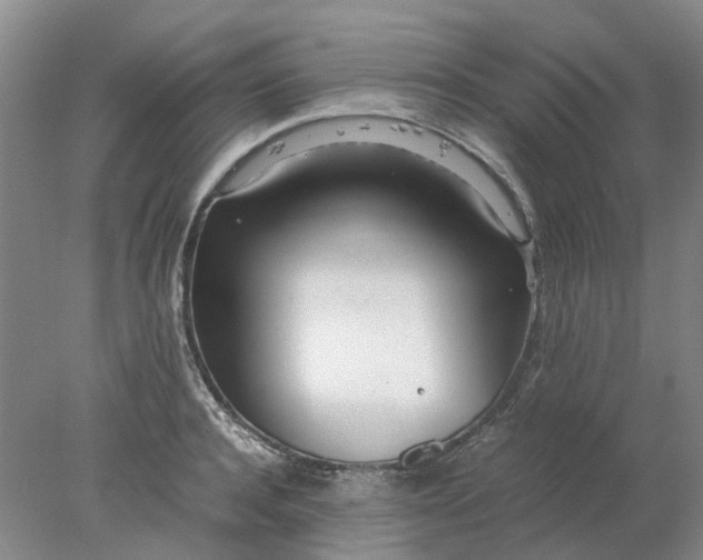 X0000077990944200611101724