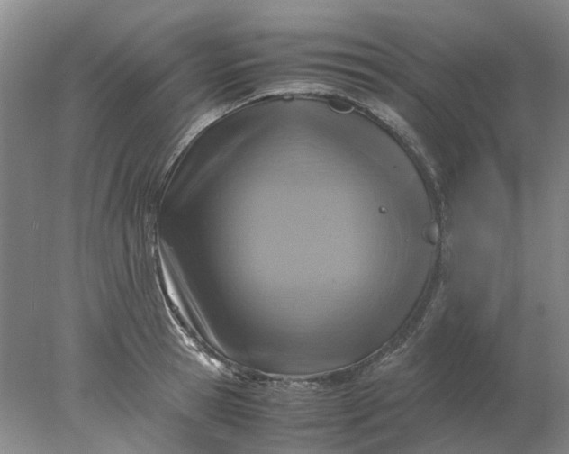 X0000077990945200611101725