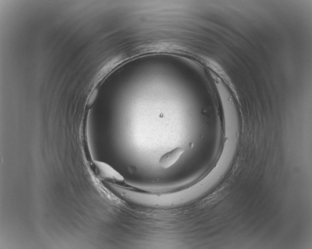 X0000077990946200611101725