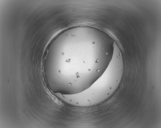 X0000077990948200611101725