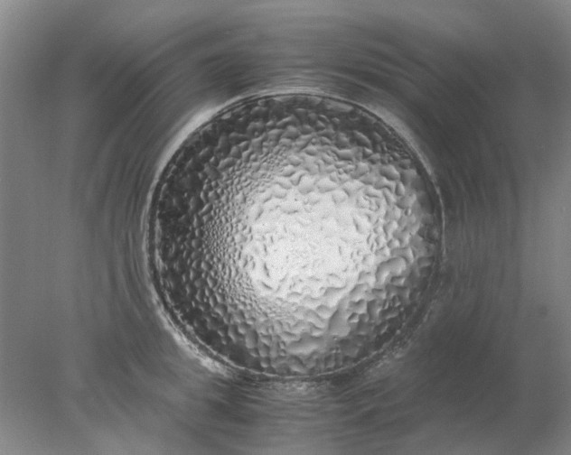 X0000077990949200611101725