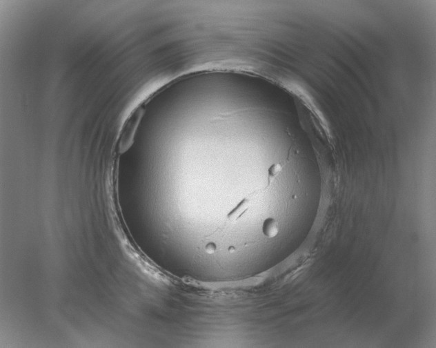 X0000077990952200611101725