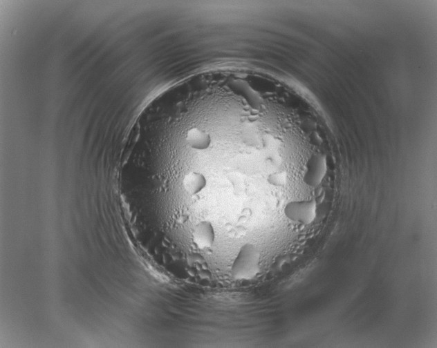 X0000077990953200611101725