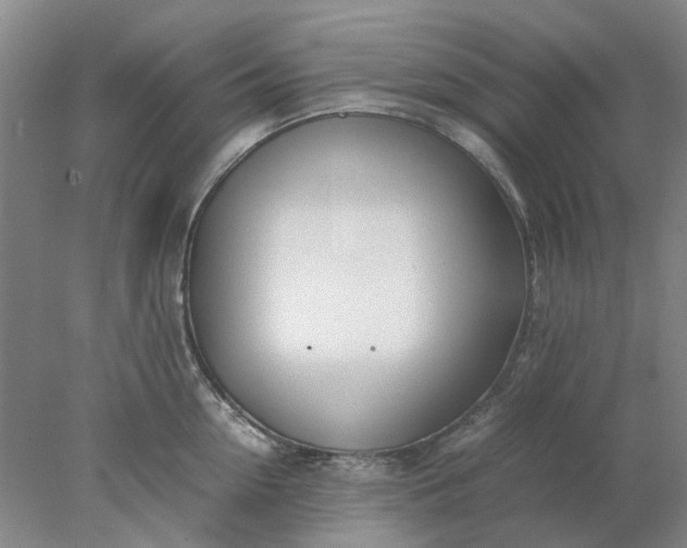 X0000077990954200611101725