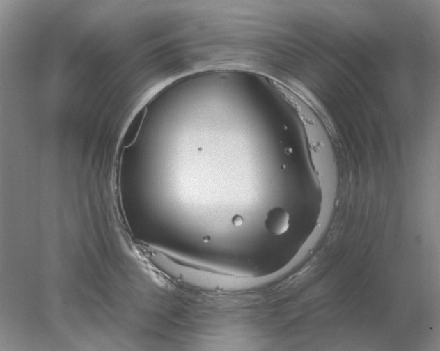 X0000077990956200611101725