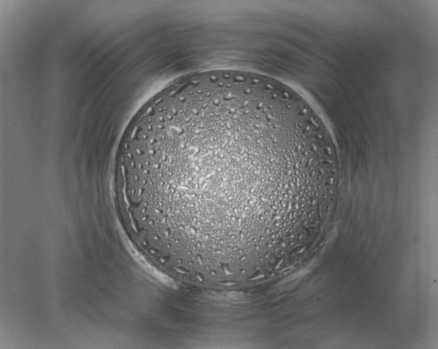 X0000077990957200611101725