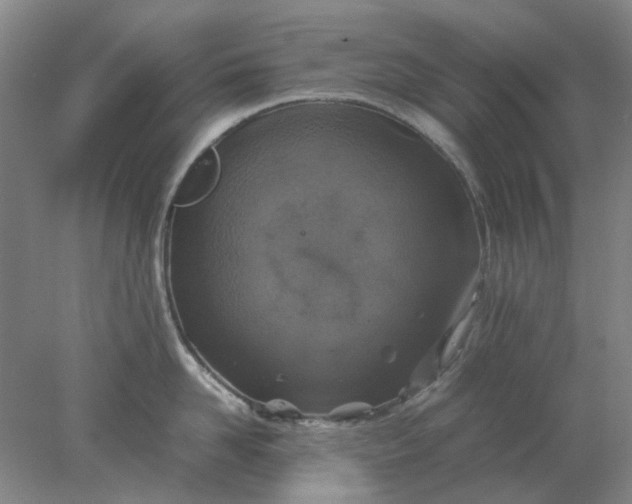 X0000077990958200611101725