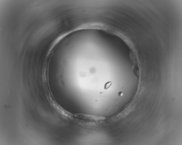 X0000077990960200611101725