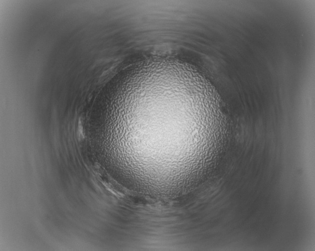 X0000077990962200611101724