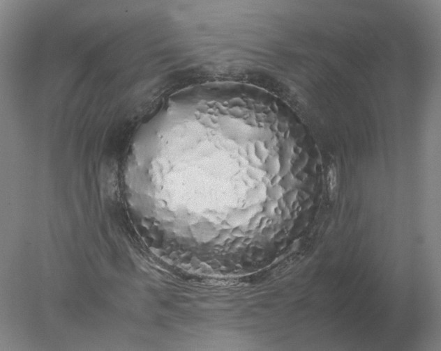 X0000077990963200611101724