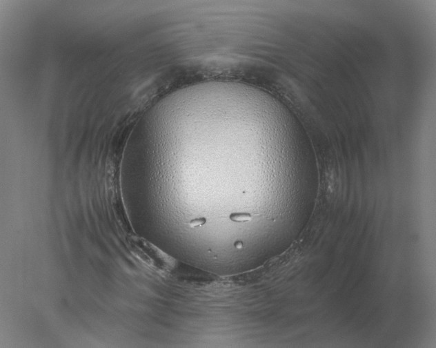 X0000077990964200611101724